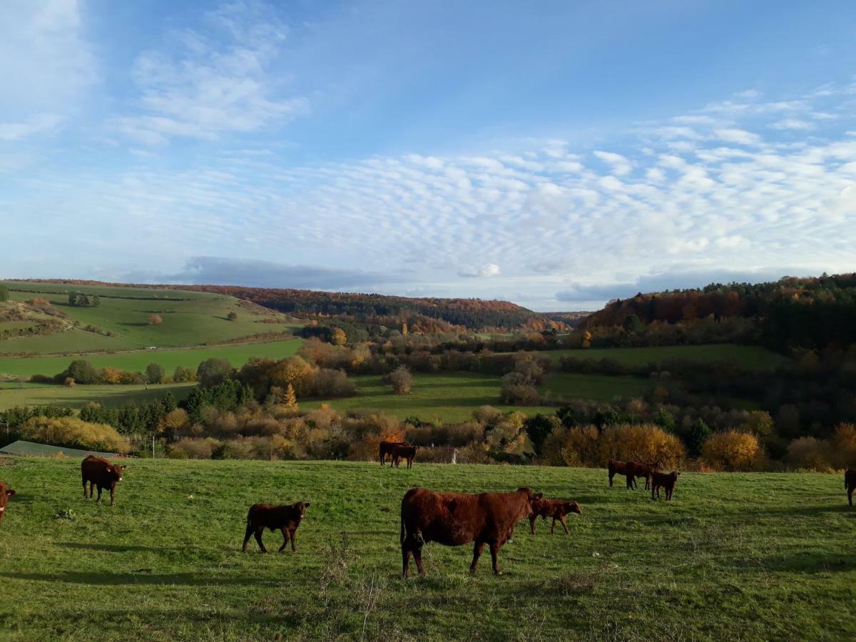 Gite Aux Lauriers Lacroix-sur-Meuse エクステリア 写真
